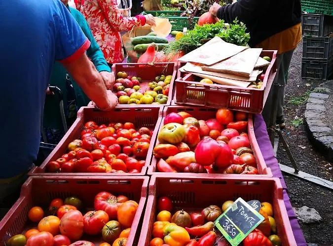 Le Somail Saint-Pons-de-Thomieres